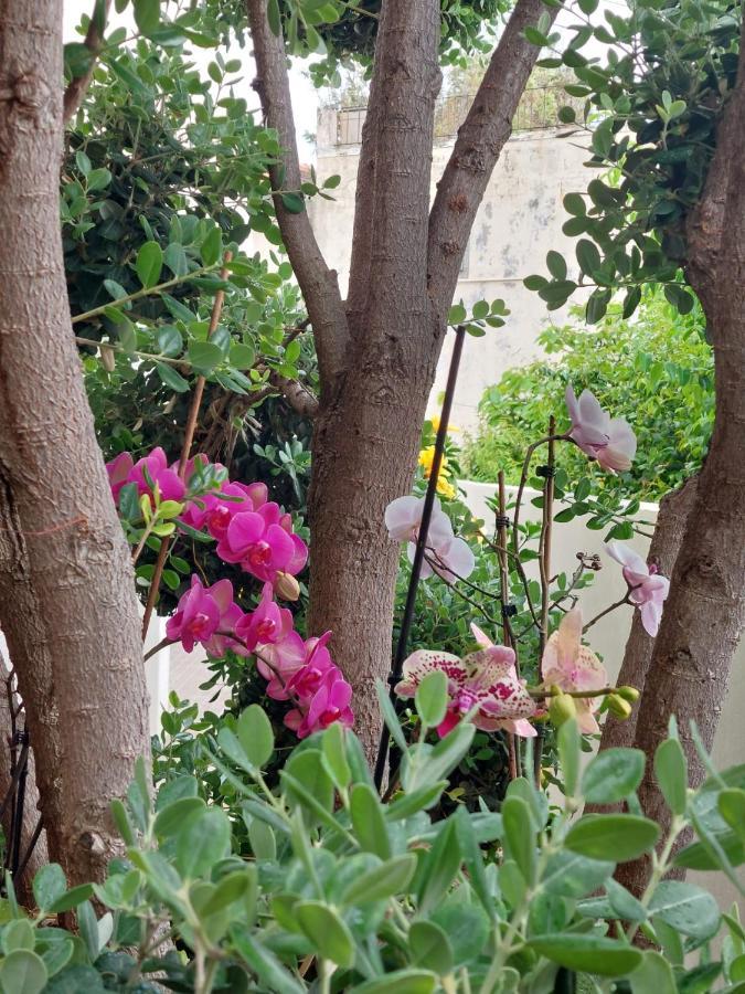 דירות ז'ארדים דו מאר Casa D' Avo Zeza מראה חיצוני תמונה